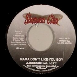 Mama Don't Like You Boy