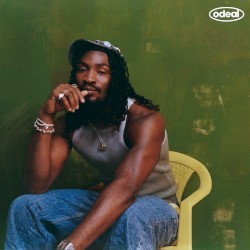 The Summer That Saved Me