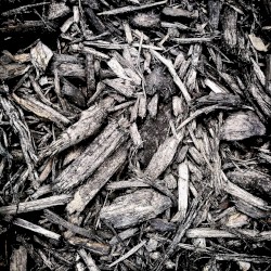 Breathing Black Earth