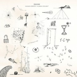 Human Error / Human Delight