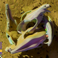 Rushing Back (alternate versions)