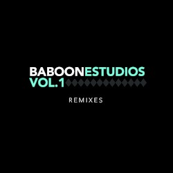 Baboon Estudios, Vol. 1: remixes