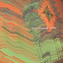 Introducing Svin