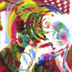 Love and Life: A Journey With the Chameleons