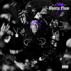 Shotta Flow 7