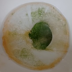 Live at Vadim's - October 24, 2004