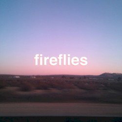 Fireflies
