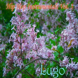 Hip Hop Instrumentals Vol. 3