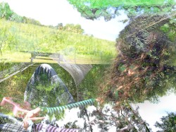 Freeroam 162 :: Real-Light Relations From the Second Meeting Which Now Achieved Near Doubleweek Transcendence XXX -- "0001 Moment"