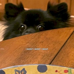 I WANT I WANT I WANT