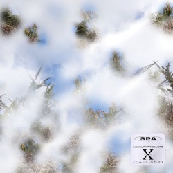 luxxuryproblems x Garland