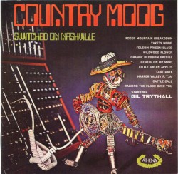 Country Moog (Switched On Nashville) / Nashville Gold (Switched On Moog)