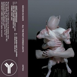 All the Past Horsed Lights