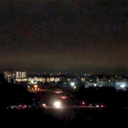 i'd fucking die for you