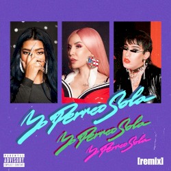 Yo perreo sola (remix)