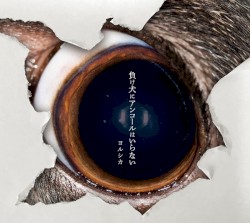 負け犬にアンコールはいらない