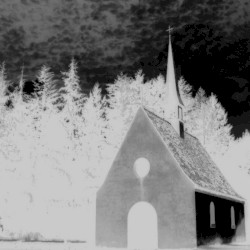 Locked Up and Forgotten