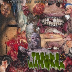 Season of Orthodontics