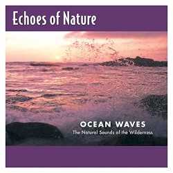 Echoes of Nature: Ocean Waves