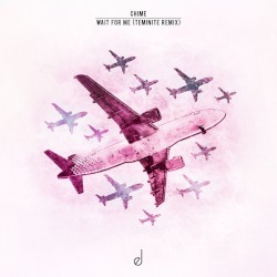 Wait For Me (Teminite Remix)