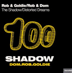 The Shadow / Distorted Dreams