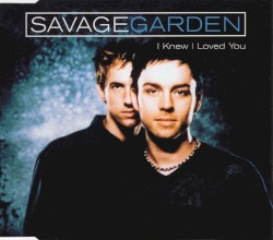 I Knew I Loved You