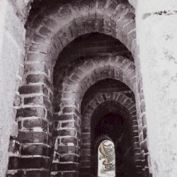 A Snake in Your House