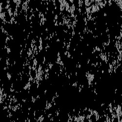 Grisaillement II