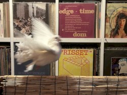 2026-03-03: NTS Radio