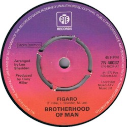 Figaro / You Can Say That Again
