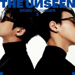 THE UNSEEN