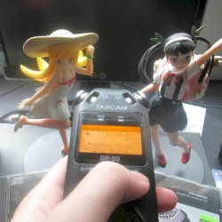 Macro Bedroom Fields