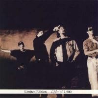 Fan Club & Christmas Funtime