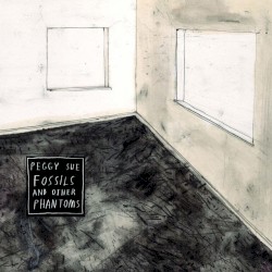 Fossils and Other Phantoms