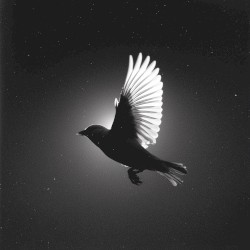 Instrumental Worship Collection