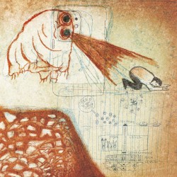 Damaged Eyes Squinting Into the Beautiful Overhot Sun