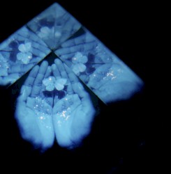 Portrait of My Heart