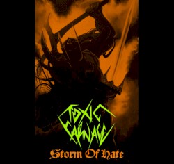 Storm of Hate