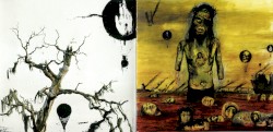 Christ Illusion