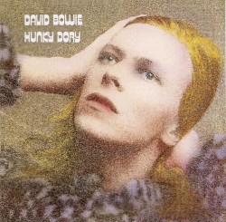 Hunky Dory