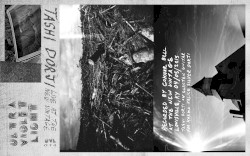 Live at the New Vintage