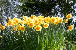 And Then He Kissed Her (lo-fi demo)