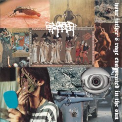 Your Father’s Rage Evaporated in the Sun