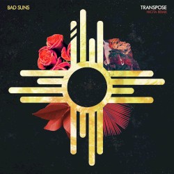 Transpose (Nicita remix)