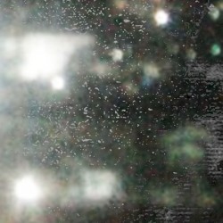 miaovault #1 (2020–2023)