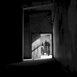 Flicker + I Don't Have the Heart