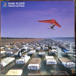 A Momentary Lapse of Reason