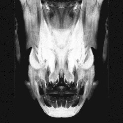 Wandering Demonic One