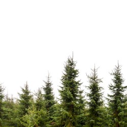 John Beatles from the