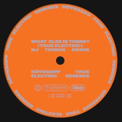 What Else Is There? (True Electric) (DJ Tennis remix)
